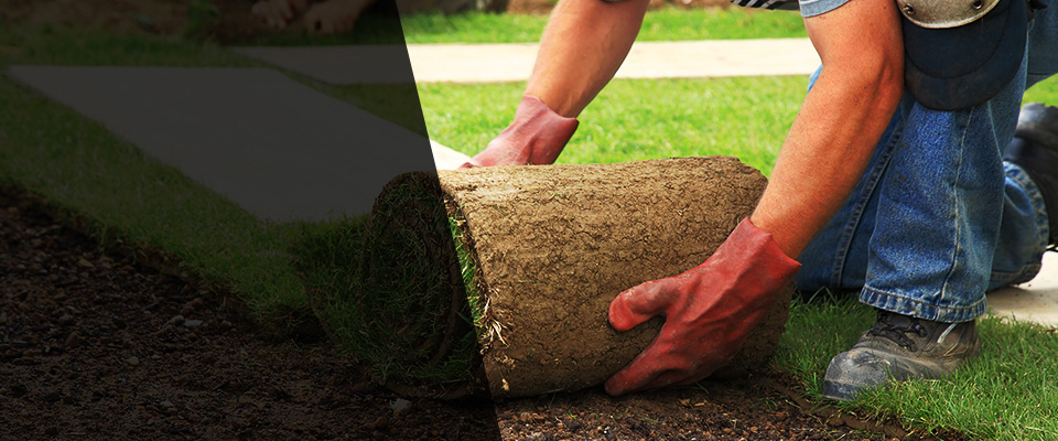 Seward Landscapers